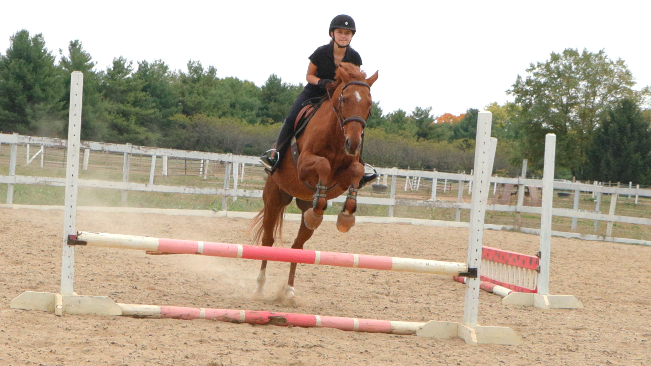 Abby (Snail) Jumping