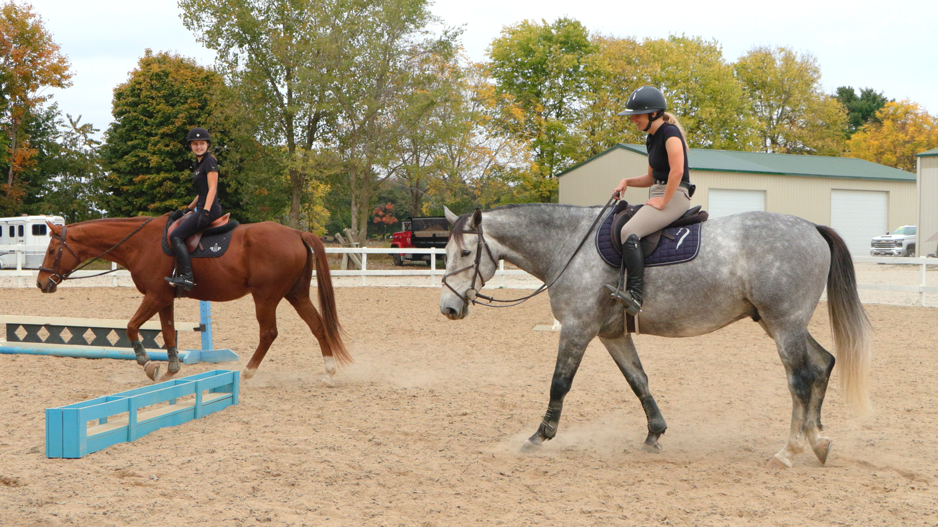 Lesson Horses Together